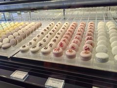 -BLACKSWAN黑天鹅(环球店)