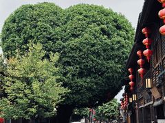 -百饼园(南后街店)