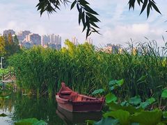 -前关湿地公园
