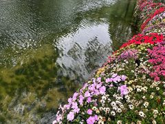-苏州上方山国家森林公园