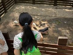 -昆山城市生态森林公园