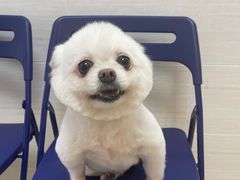 -芭比堂动物医院广州顽皮分院