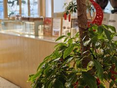 -Cafe on warm(丹霞店)