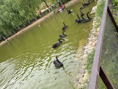 -静之湖度假区