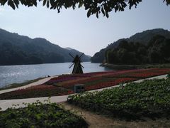 -广州市石门国家森林公园