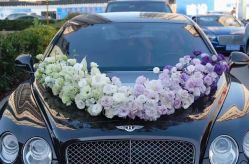 -喜乐汇·婚车(华润橡树湾3期店)