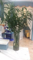 -静博士养生美容连锁