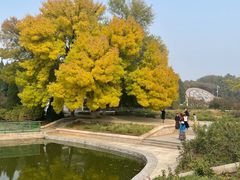 -石家庄市植物园