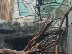 -成都动物园