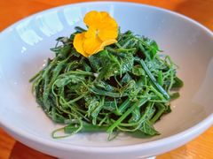 爽口丝瓜尖-丹江渔村(望京店)