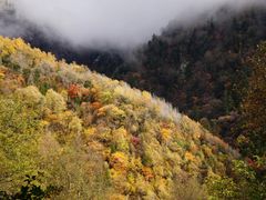 -叠溪松坪沟景区