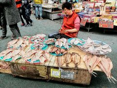 -西归浦每天偶来市场