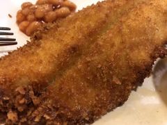 -澳洲牛奶公司(佐敦店)