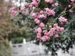 -莫愁湖公园