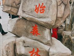 -大青沟风景区
