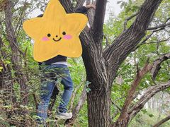 -青龙山国家森林公园