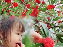 -黄龙带水库