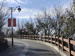 -杭州半山国家森林公园