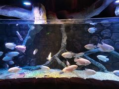 -多彩贵州城极地海洋世界