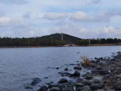 -上海月湖雕塑公园