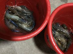 大笨象钓虾场-小象钓虾·营地烧烤(洛溪店)