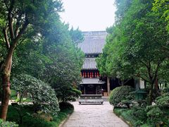 -秋霞圃