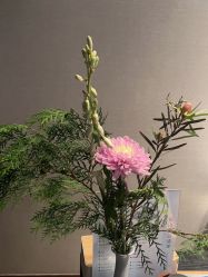-美壹生皮肤管理中心