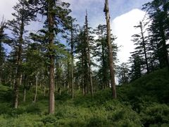 -瓦屋山景区
