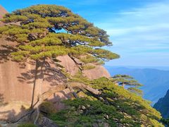 -黄山风景区