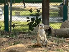 -秦皇岛野生动物园