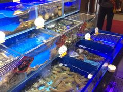 -金太阳海鲜烧烤·本地人餐厅(东纬路旗舰店)