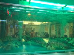 -焕记海鲜饭店
