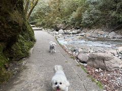 -西岭雪山大飞水景区