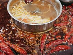 -青年火锅(吾悦广场直营店)