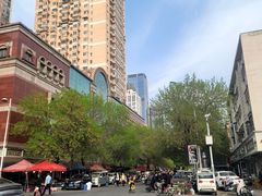 -宝鸡东道花鸟鱼虫市场(吉利花园商场店)