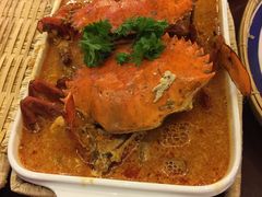 -茉莉.Red Crab