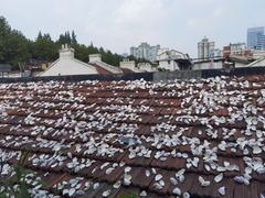 -普朗姆生蚝吧(原建国路店)
