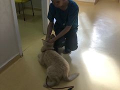 -芭比堂动物医院·犬猫全科·异宠专科(雁塔分院)