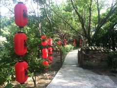 iphone_upload_pic-茂德公草堂