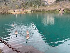 -靖西鹅泉风景区