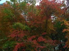 -丹东天桥沟景区