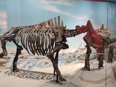 -国家自然博物馆