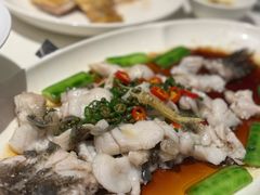 -侨美·唐荔园·40年地道粤菜