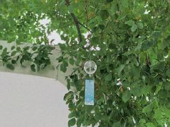 -Beans Solo豆号咖啡(百家湖花园店)