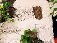 -农畉LONFOOD(福田星河COCOPark店)