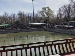 -尚庄度假村·庭台树下·户外烧烤·团建CS·轰趴营地(上庄水库店)