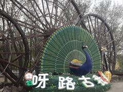 -呀路古热带植物园