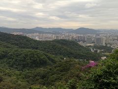 -广州市白云山风景名胜区