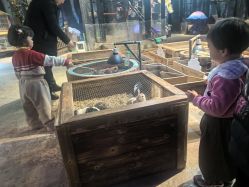 -酷嗒动物文化乐园(cutezoo西溪乐天城店)