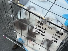 -大芬美术馆